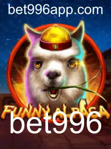 bet996 Casino App